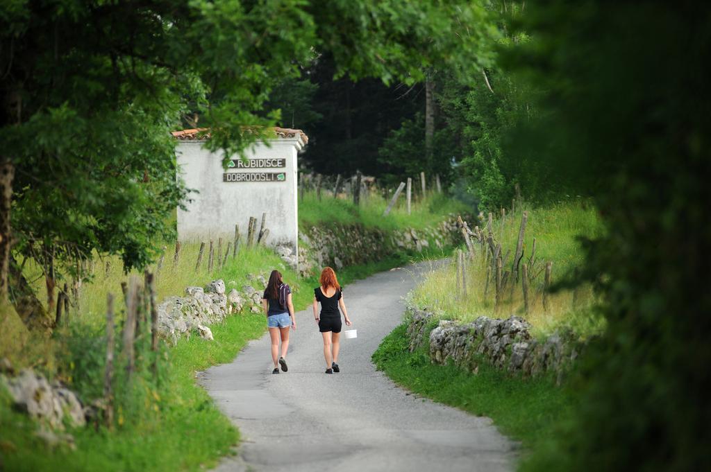 Holiday Farmhouse Skvor Robidisce Esterno foto